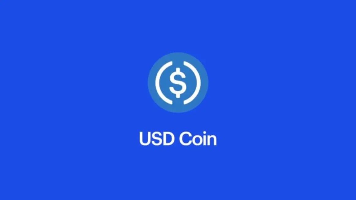 /images/blog/a-beginners-guide-to-us-dollar-coin/usd-coin.webp