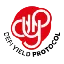 logo DeFi Yield Protocol image